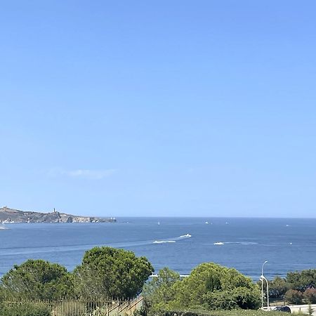 Appartement T3 Climatise Avec Terrasse - Proche Crique, Parking Prive, Ideal Famille - Fr-1-309-209 Banyuls-sur-Mer Zewnętrze zdjęcie